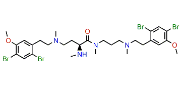 Volutamide G